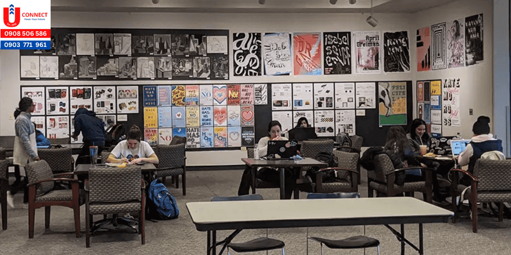 Giới thiệu về đại học Elmhurst, bang Illinois, Mỹ và chương trình học của trường